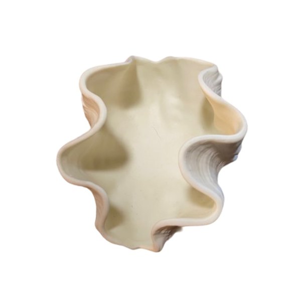 Clamshell Decor - Picture 2 of 5